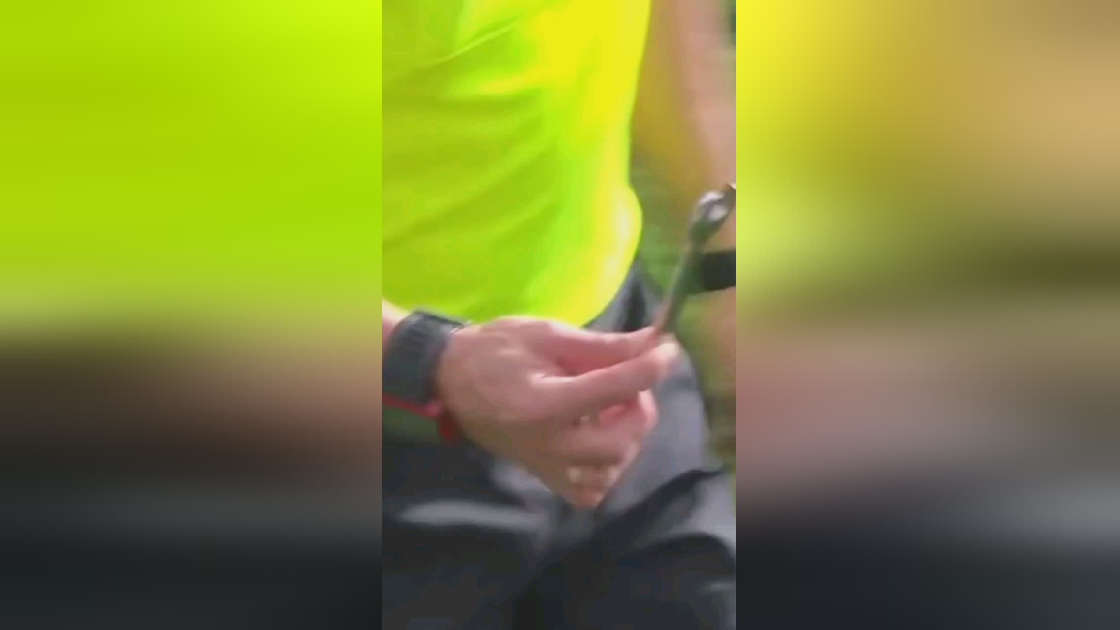 掌沙特国家