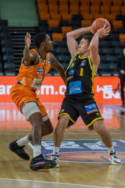 不仅彰显了 不仅彰显了